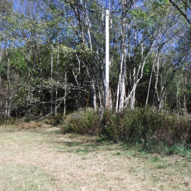 Huff Hollow Rd Road Granville, TN 38564 - Photo 27 of 36 DSCF0884