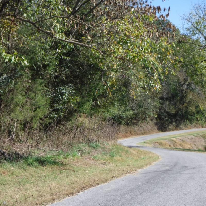 Huff Hollow Rd Road Granville, TN 38564 - Photo 30 of 36 DSCF0887