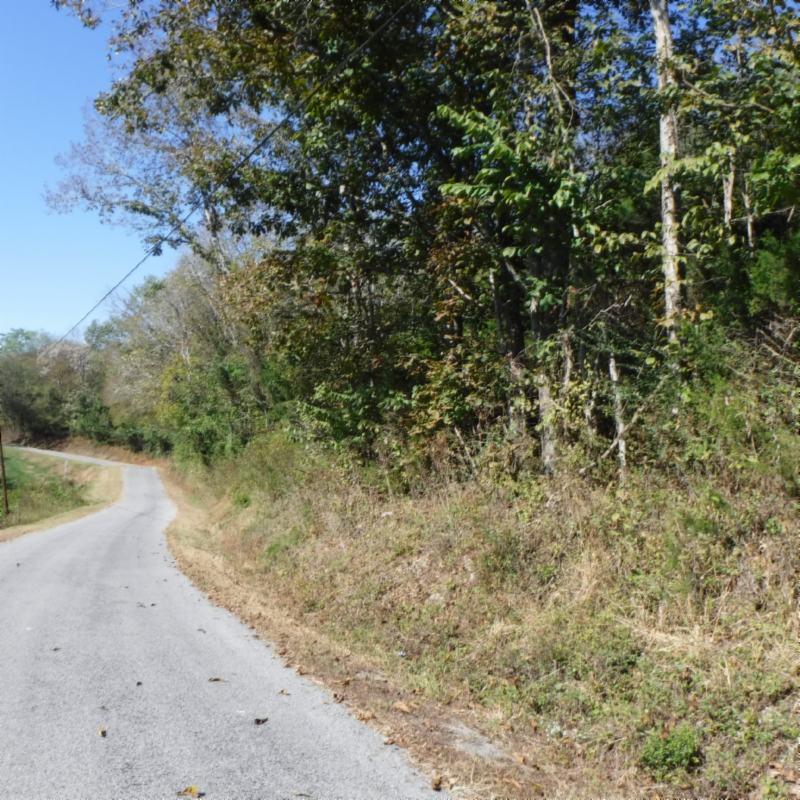 Huff Hollow Rd Road Granville, TN 38564 - Photo 32 of 36 DSCF0889