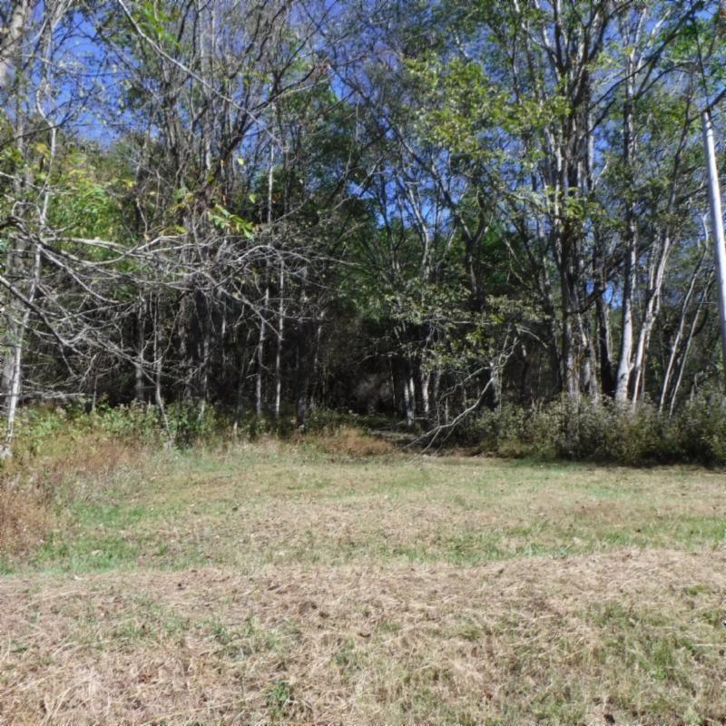 Huff Hollow Rd Road Granville, TN 38564 - Photo 36 of 36 USE AS MAIN