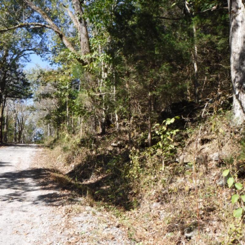 Huff Hollow Rd Road Granville, TN 38564 - Photo 7 of 36 DSCF0860