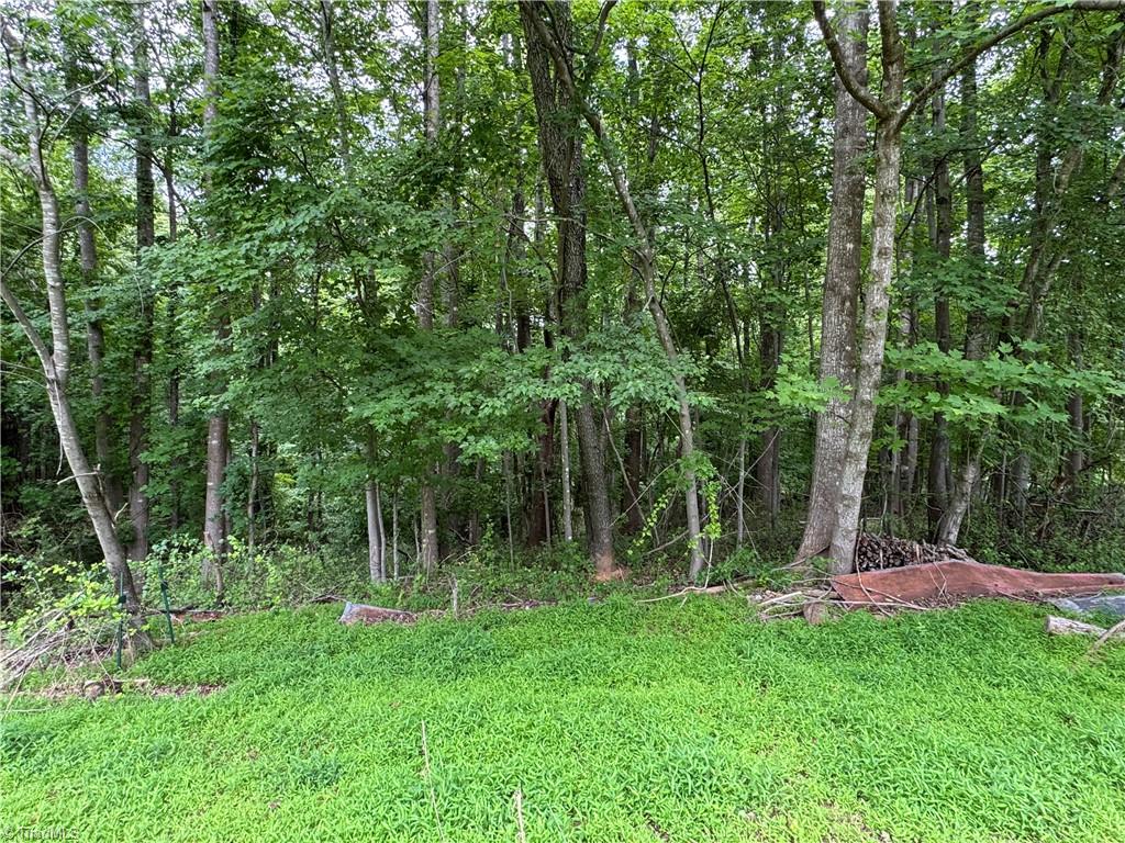 172 Poteat Road Mount Airy, NC 27030 - Photo 10 of 11