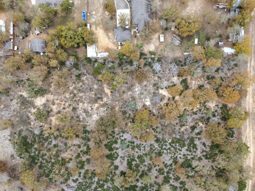 0 Dickerson Lane Elgin, TX 78621 - Photo 11 of 11 a view of a tree