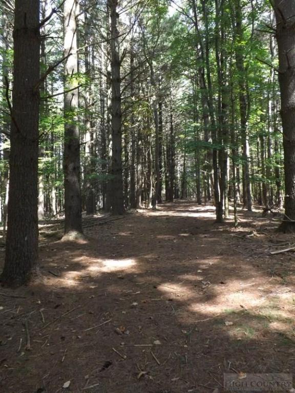 554 Sally Road Sparta, NC 28675 - Photo 15 of 44 Gallery Image 15