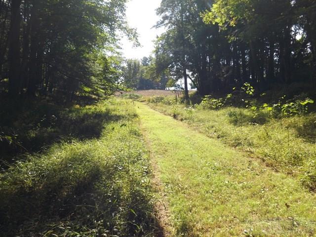 554 Sally Road Sparta, NC 28675 - Photo 20 of 44 Gallery Image 20