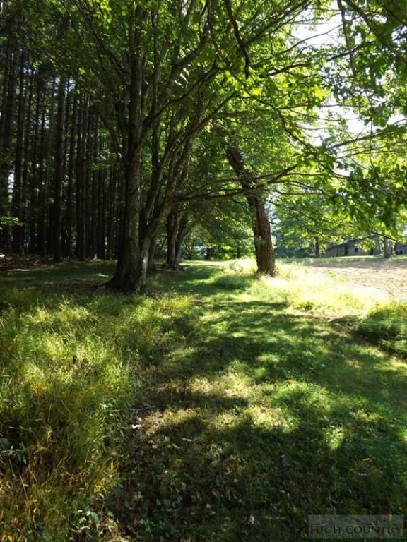 554 Sally Road Sparta, NC 28675 - Photo 21 of 44 Gallery Image 21