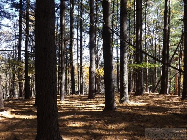554 Sally Road Sparta, NC 28675 - Photo 23 of 44 Gallery Image 23
