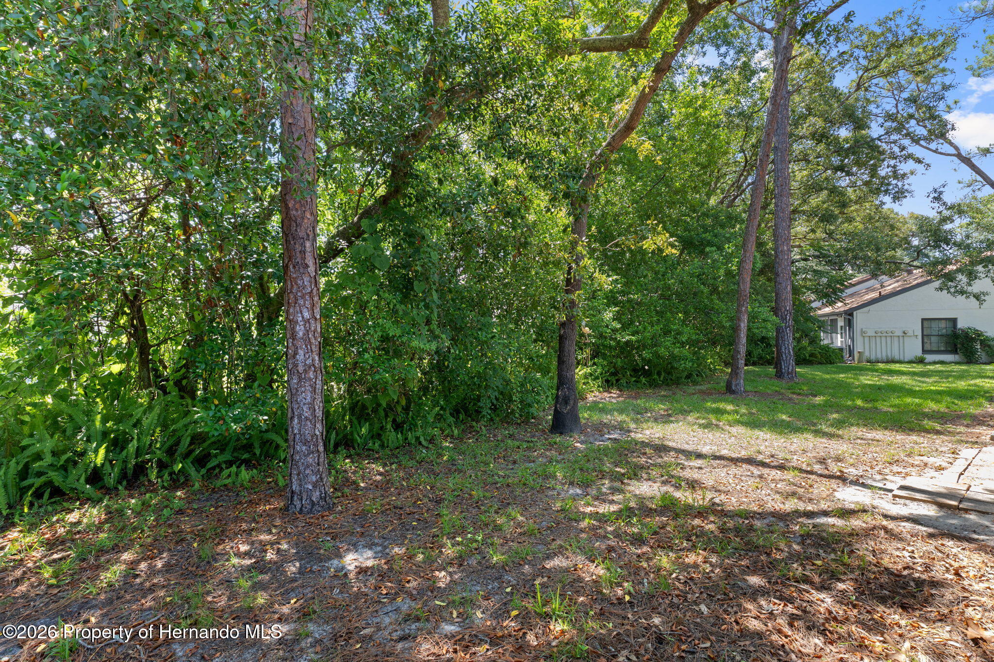 2102 Forester Way Spring Hill, FL 34606 - Photo 32 of 34