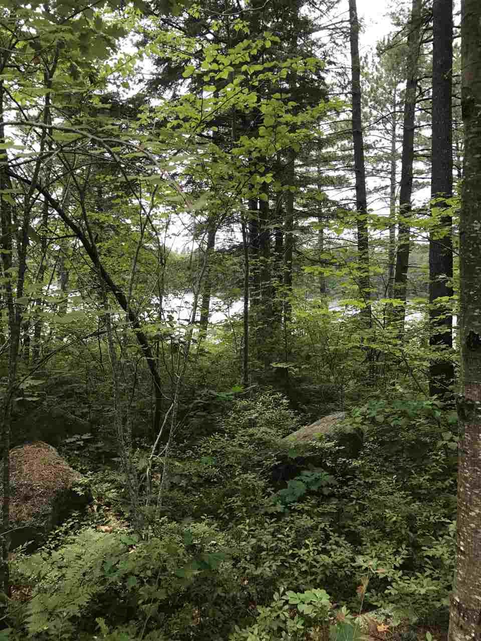 Lot 49 County Road Hillsborough, NH 03244 - Photo 4 of 13