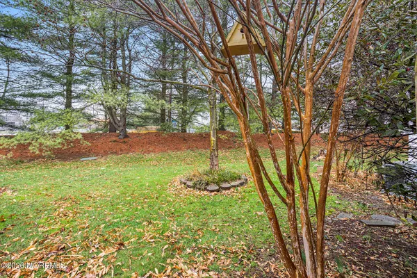 a view of house with a yard