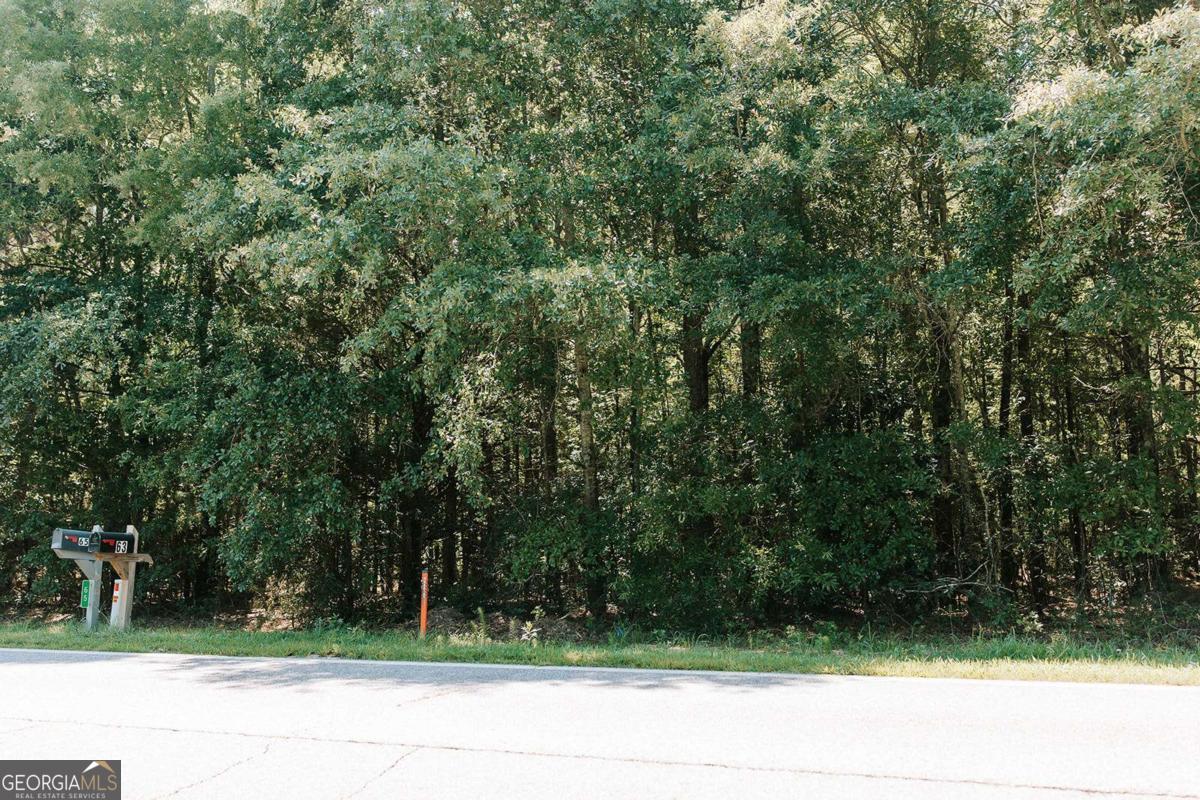 0 Lexington-Carlton Road Lexington, GA 30648 - Photo 3 of 20