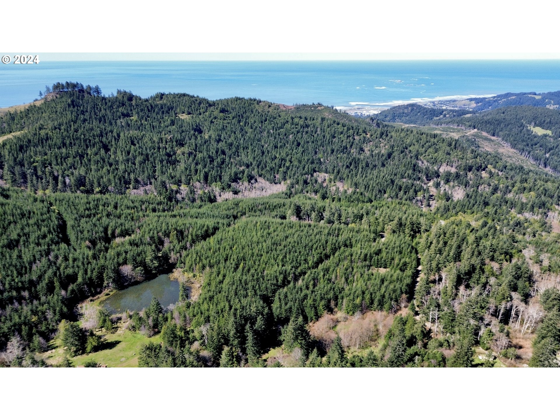 0 Grizzly Mountain Road, Unit 1500 Gold Beach, OR 97444 - Photo 28 of 48 Gallery Image 28