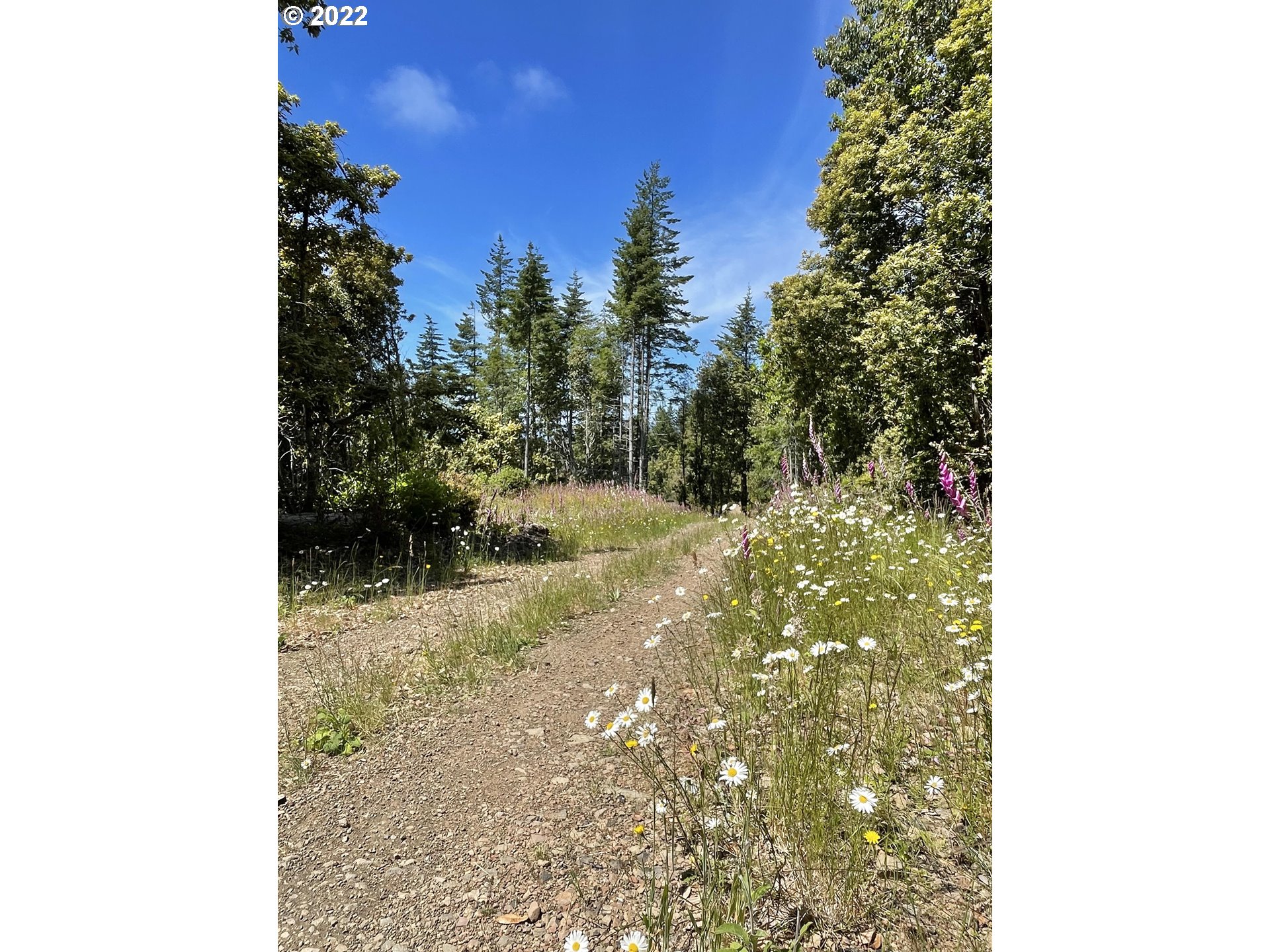0 Grizzly Mountain Road, Unit 1500 Gold Beach, OR 97444 - Photo 32 of 48 Gallery Image 32