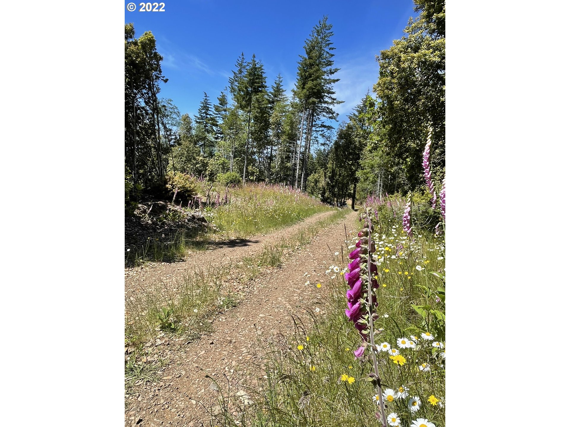 0 Grizzly Mountain Road, Unit 1500 Gold Beach, OR 97444 - Photo 33 of 48 Gallery Image 33