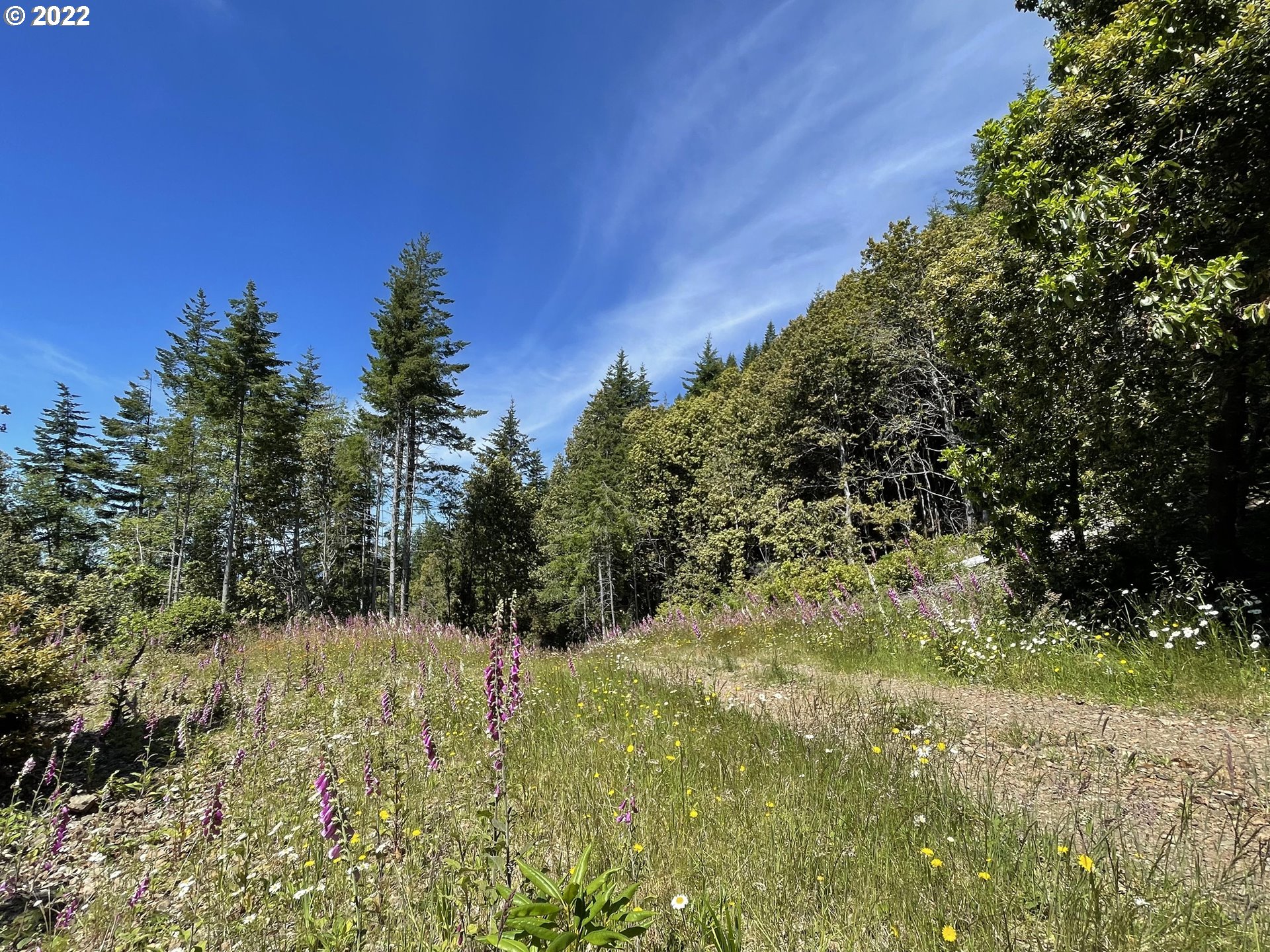 0 Grizzly Mountain Road, Unit 1500 Gold Beach, OR 97444 - Photo 34 of 48 Gallery Image 34