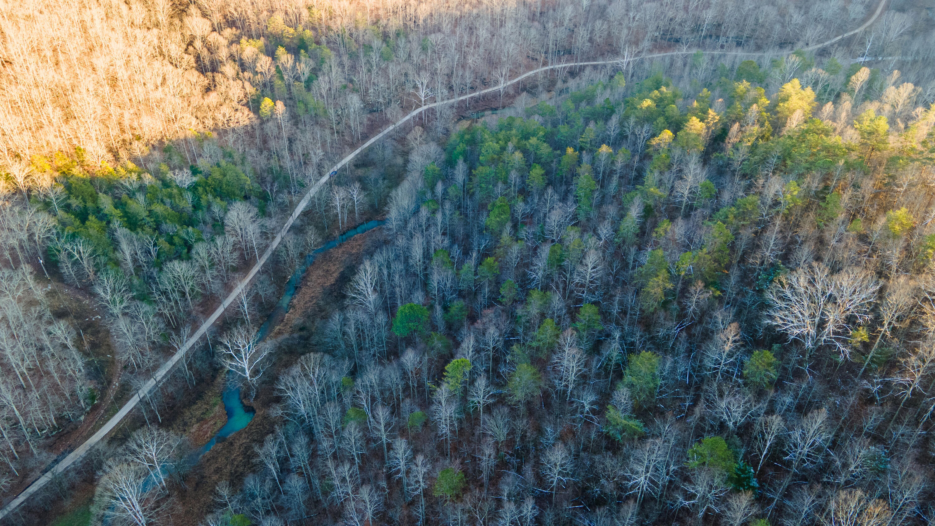 0 Crooked Crk Road Orlando, KY 40460 - Photo 14 of 20 CrookedCreekRd-07