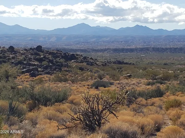 a view of a dry yard with mountains in the background