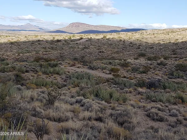 a view of a dry field