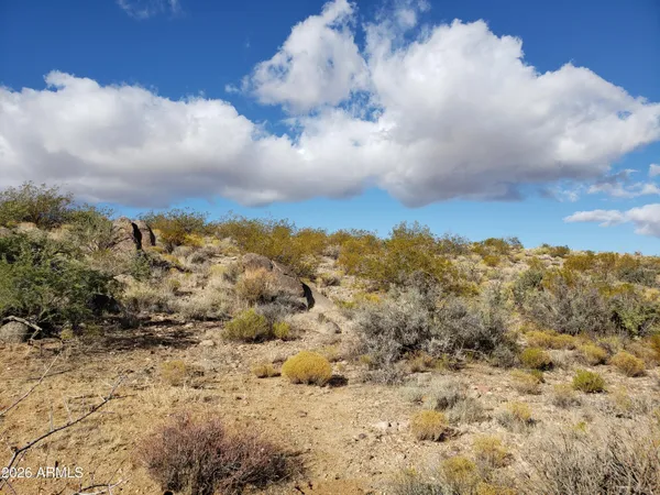 a view of mountains in the distance in a field