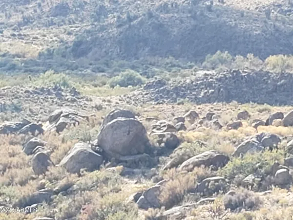 a view of an outdoor space