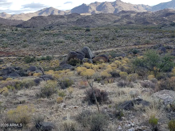 a view of a dry field