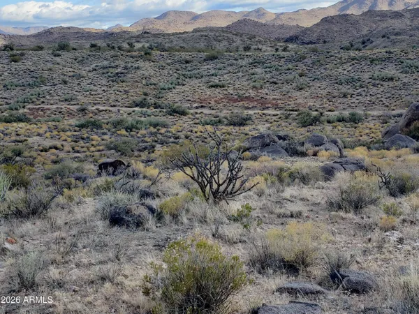 a view of a city with mountain