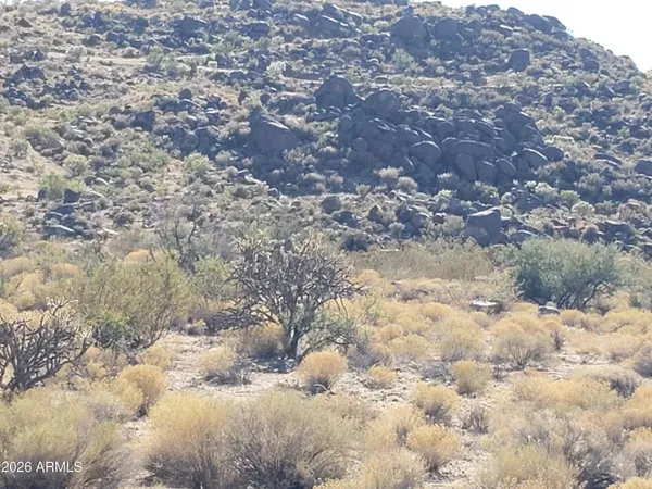 a view of a mountain in the distance