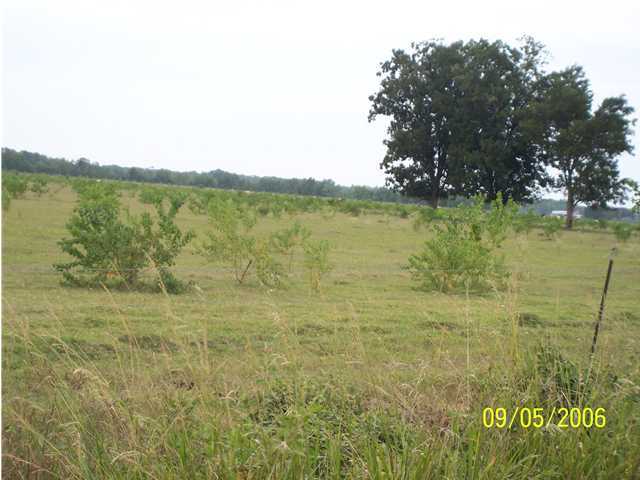 0 Kerrell Vidrine Road Ville Platte, LA 70586 - Photo 2 of 4 Additional Photo