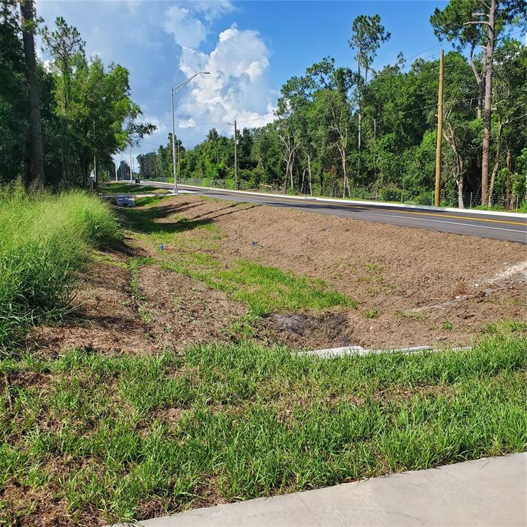 Pollard Road Winter Haven, FL 33884 - Photo 15 of 17 a view of a yard with plants and a bench