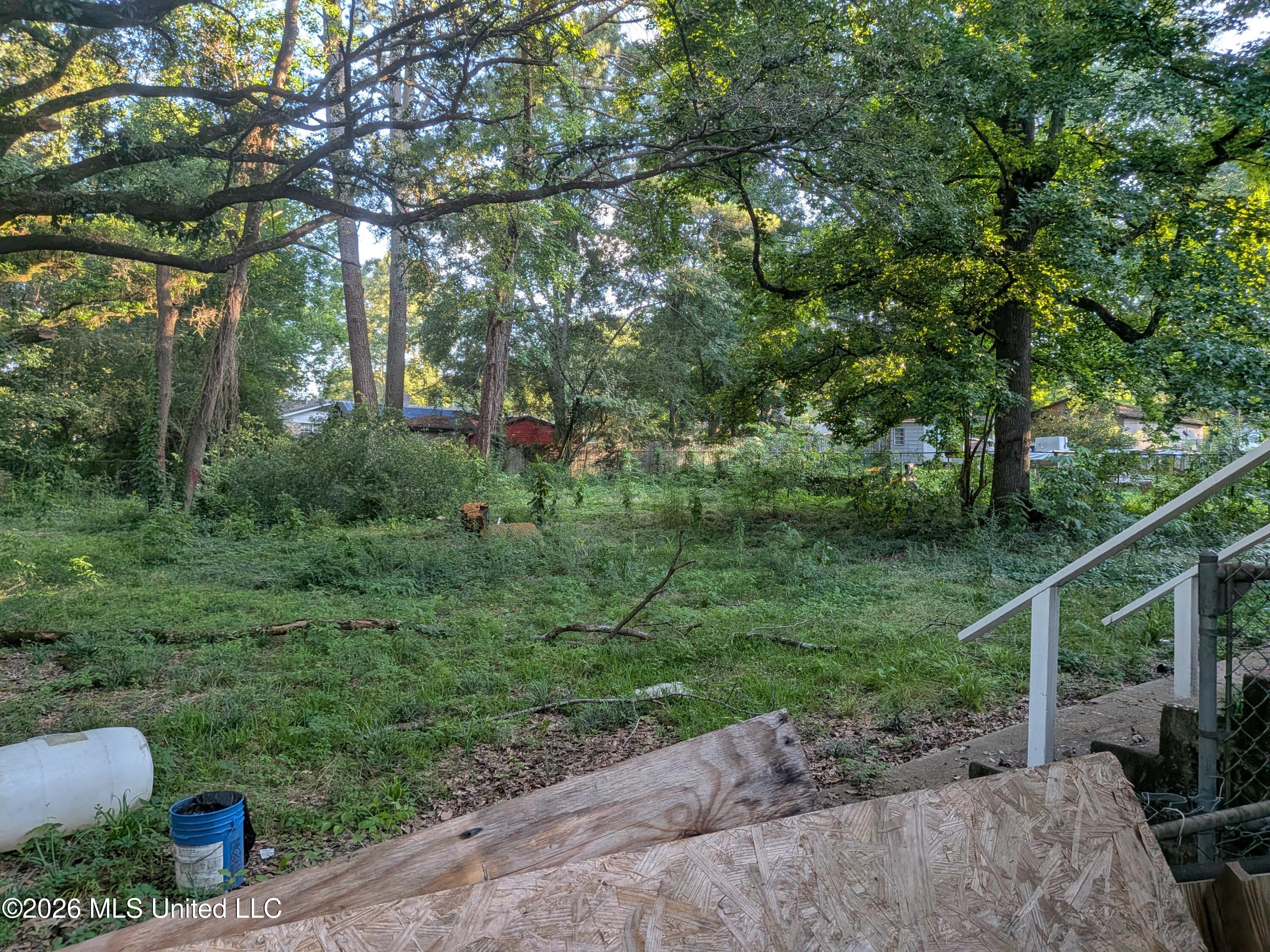 399 Cooper Road Jackson, MS 39212 - Photo 20 of 20 BACKYARD