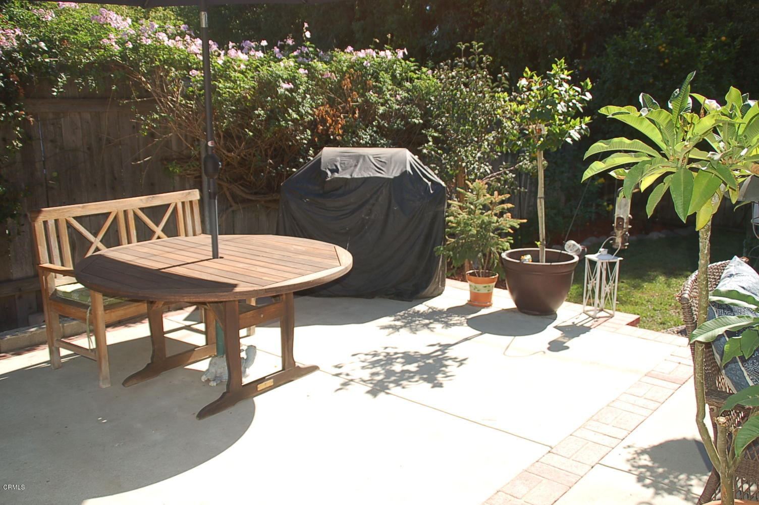 1644 Morada Place Altadena, CA 91001 - Photo 53 of 74 DSC_2823