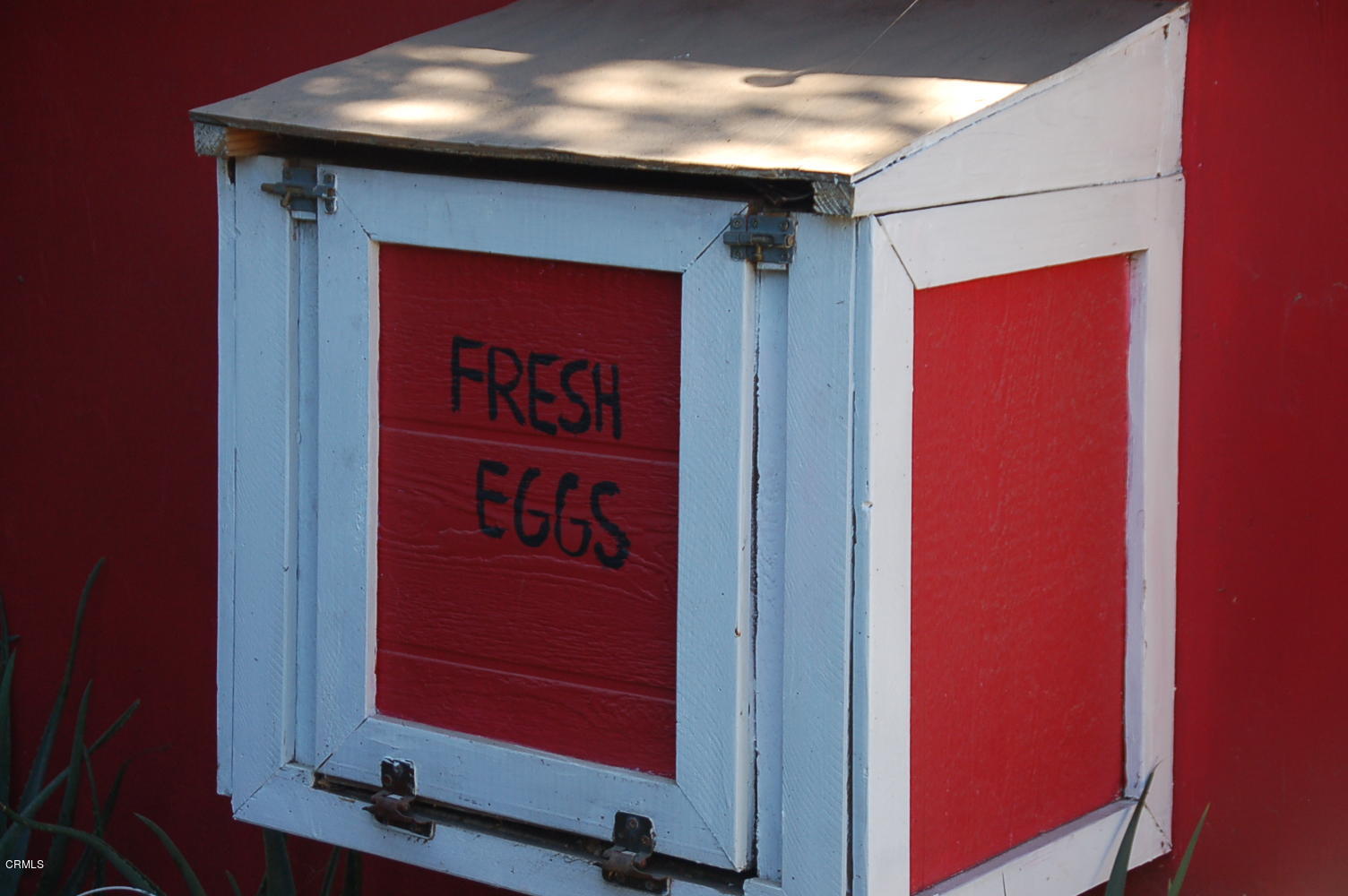 1644 Morada Place Altadena, CA 91001 - Photo 55 of 74 DSC_2825