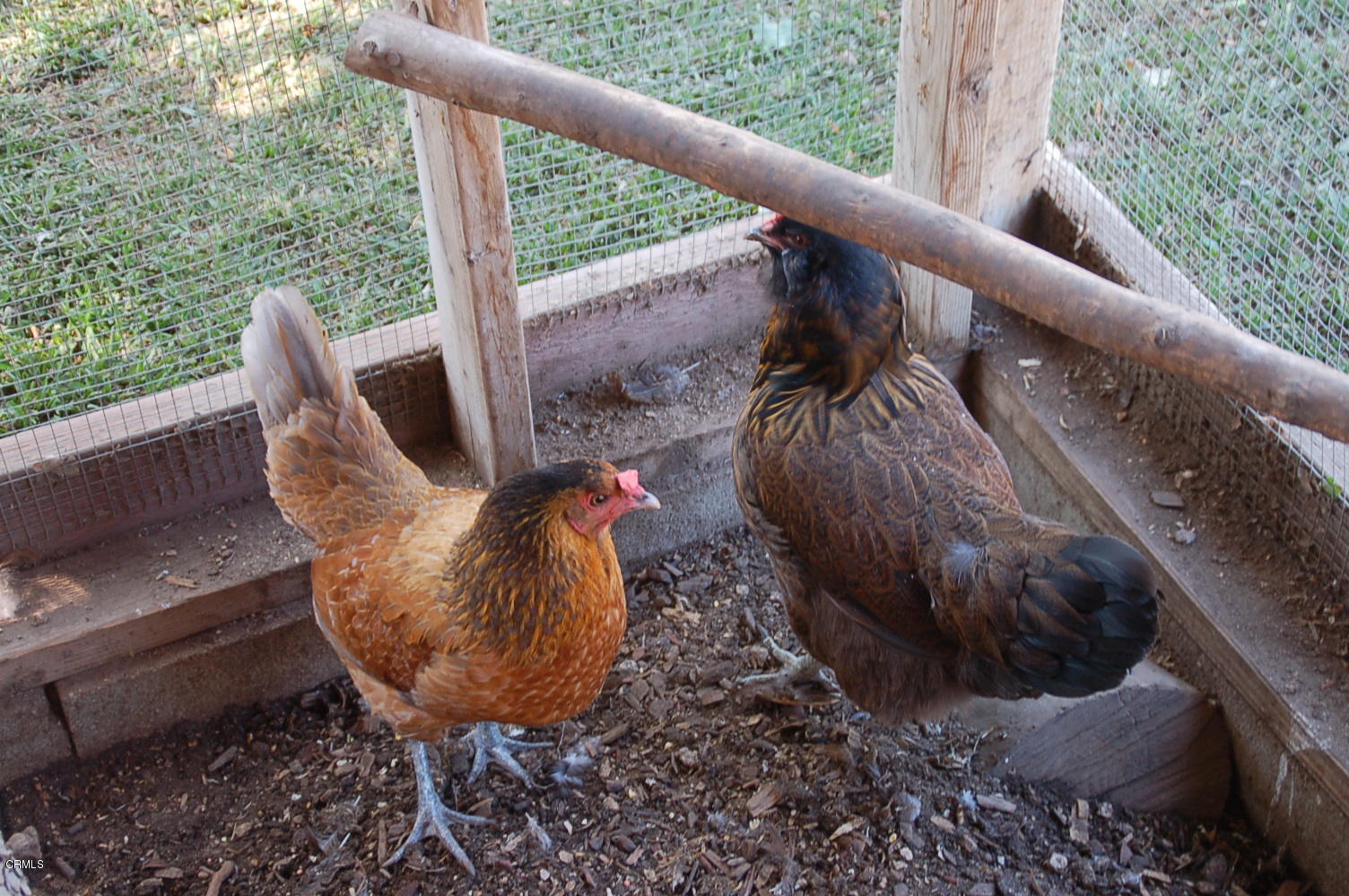 1644 Morada Place Altadena, CA 91001 - Photo 57 of 74 a view of balcony with wooden floor and outdoor seating