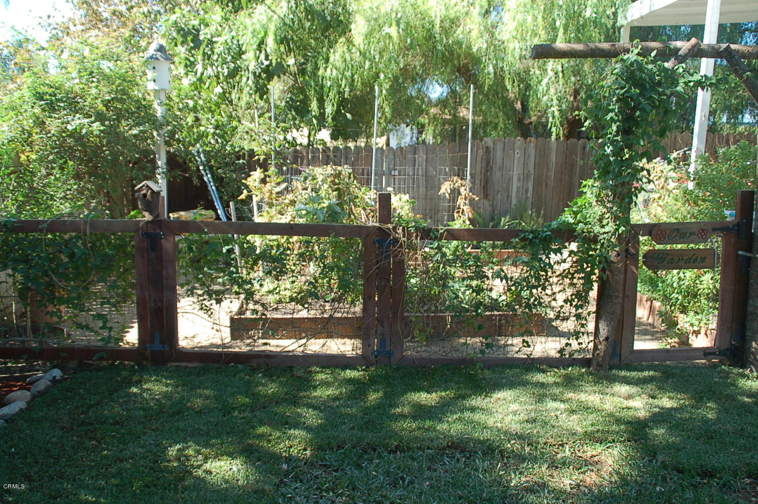 1644 Morada Place Altadena, CA 91001 - Photo 60 of 74 a view of a yard with plants and a large tree