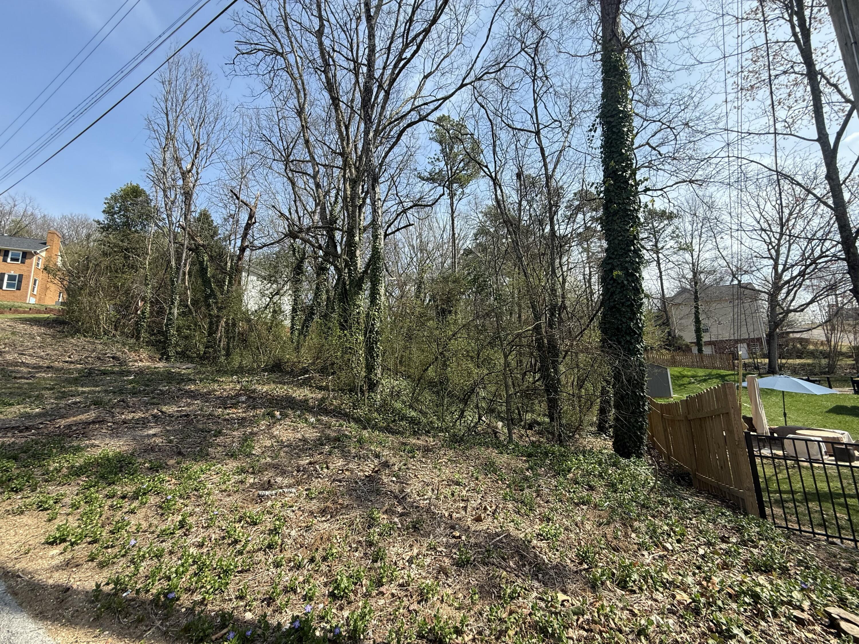 804 Amy Lane Chattanooga, TN 37421 - Photo 2 of 4 tempImage1XrgxY