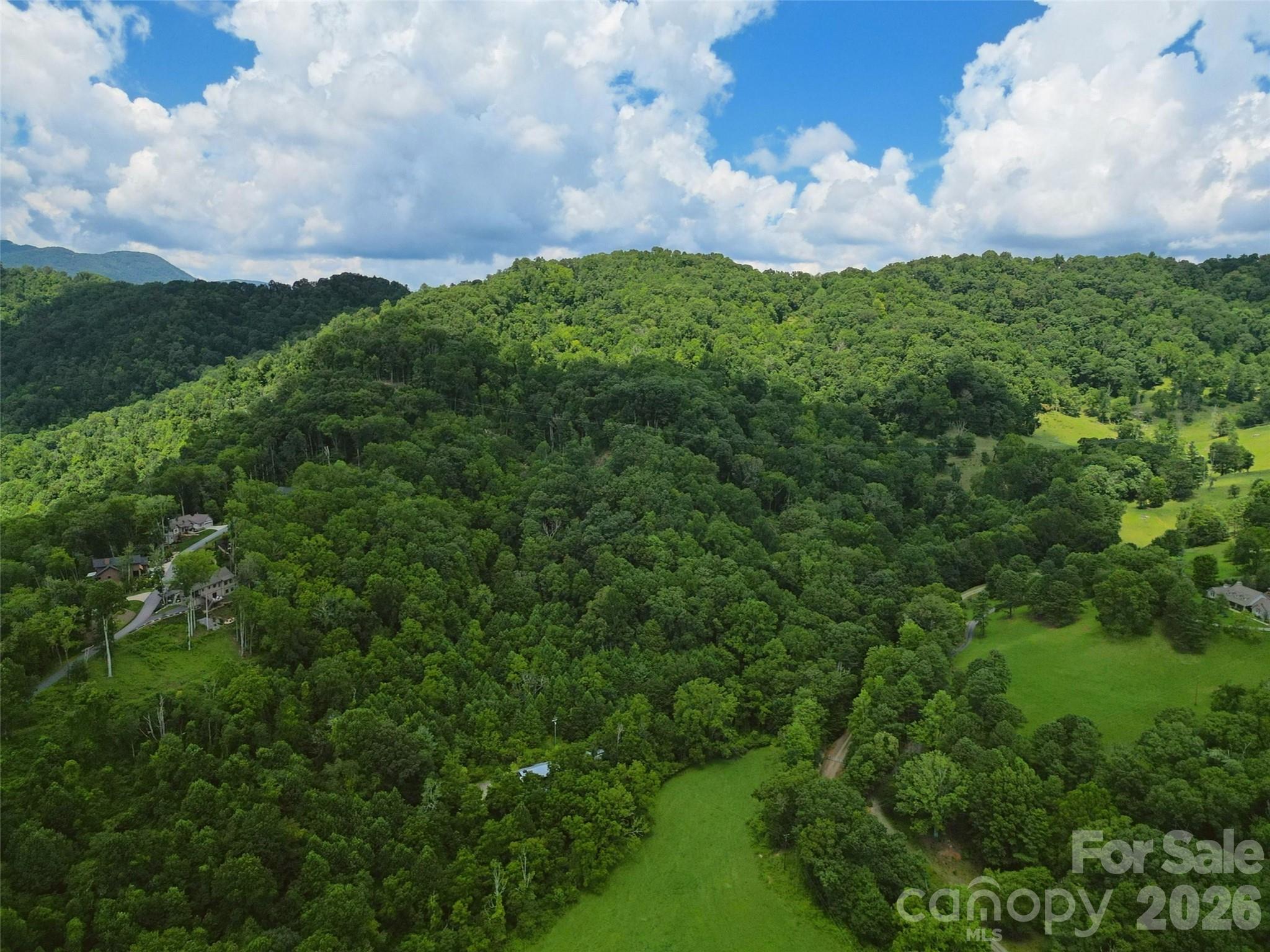 0 Queen Cove Road Waynesville, NC 28785 - Photo 11 of 17 a backyard of a house with lots of green space