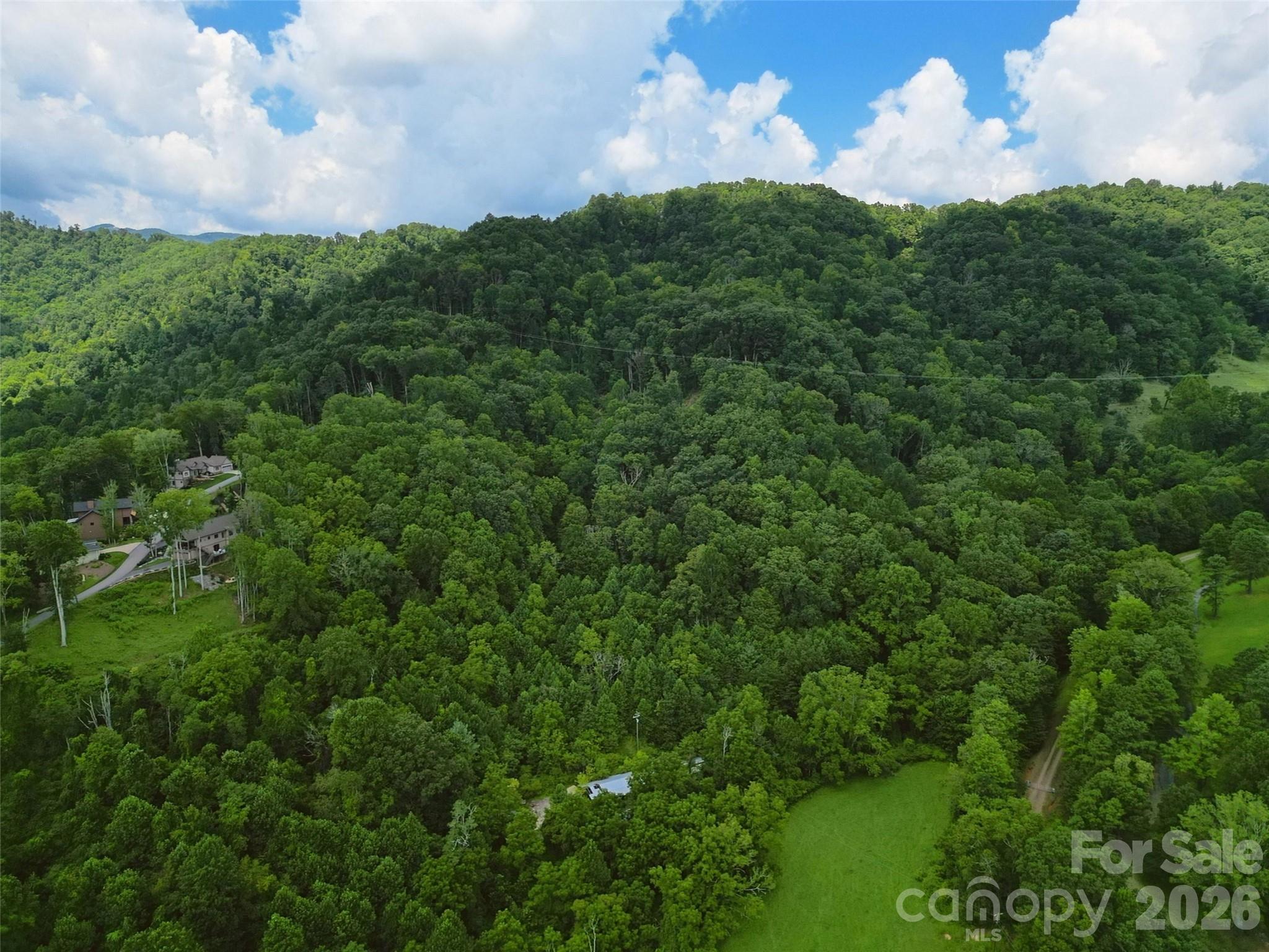 0 Queen Cove Road Waynesville, NC 28785 - Photo 12 of 17 a view of a bunch of trees in a field