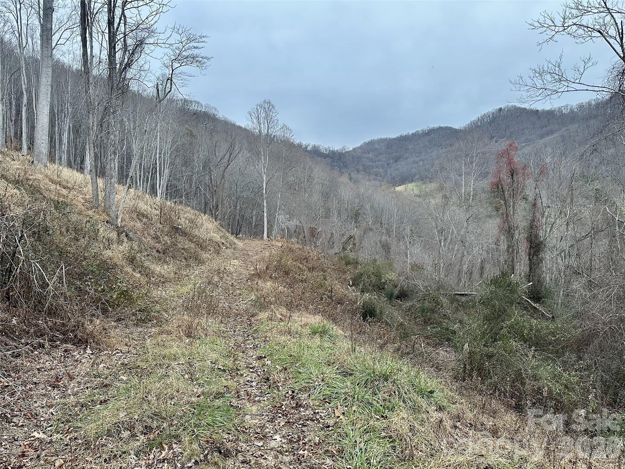0 Queen Cove Road Waynesville, NC 28785 - Photo 14 of 17 a view of a dry yard with mountains in the background
