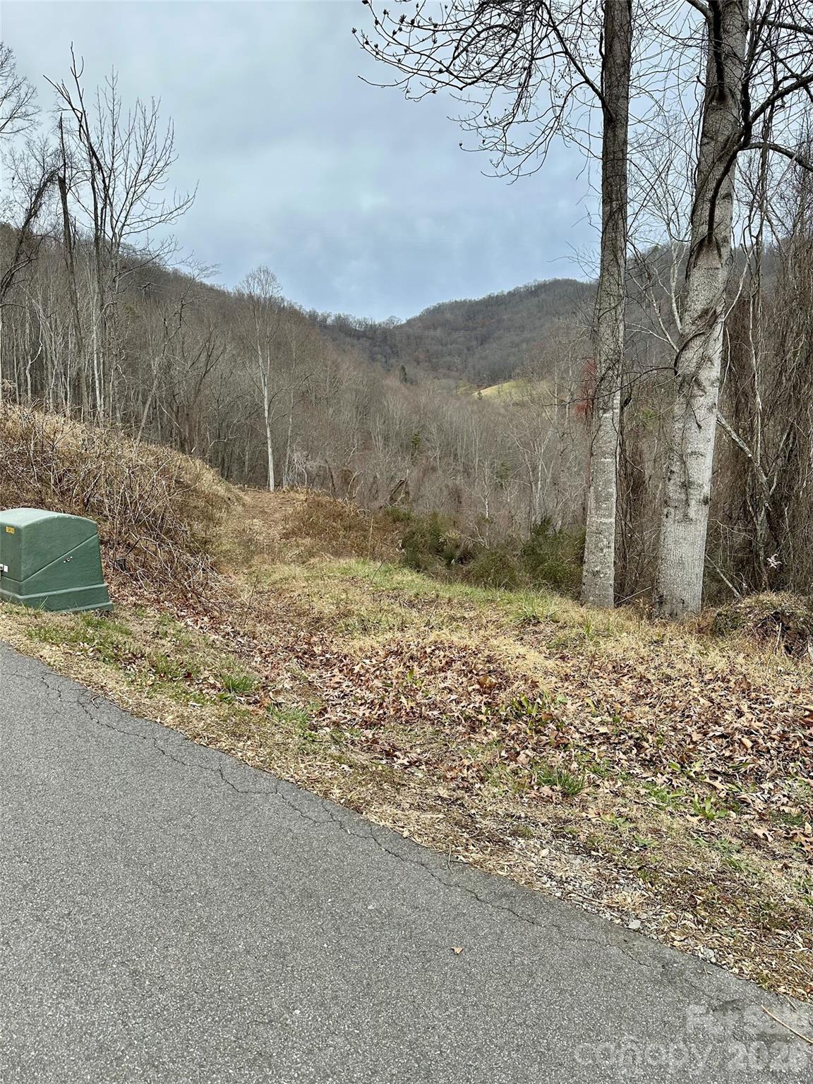 0 Queen Cove Road Waynesville, NC 28785 - Photo 15 of 17 a view of a dry yard with trees