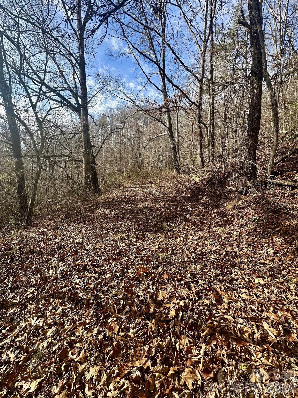 0 Queen Cove Road Waynesville, NC 28785 - Photo 17 of 17 a view of a yard with large trees