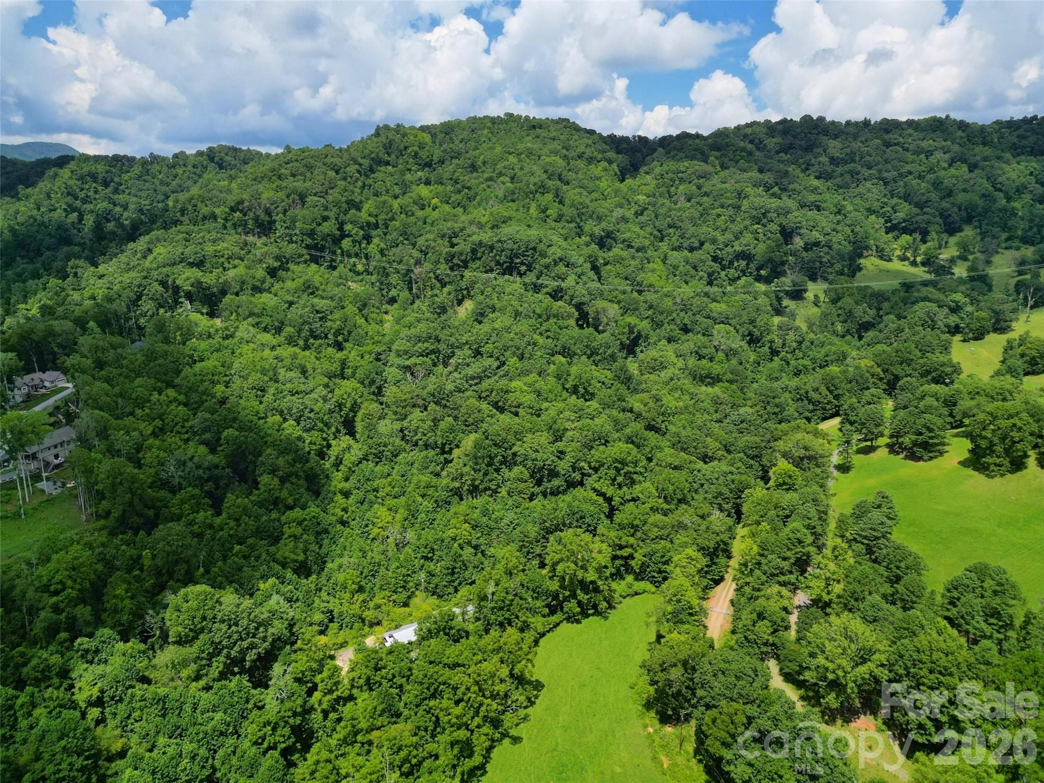 0 Queen Cove Road Waynesville, NC 28785 - Photo 2 of 17 a view of a big yard with lots of green space and mountain view