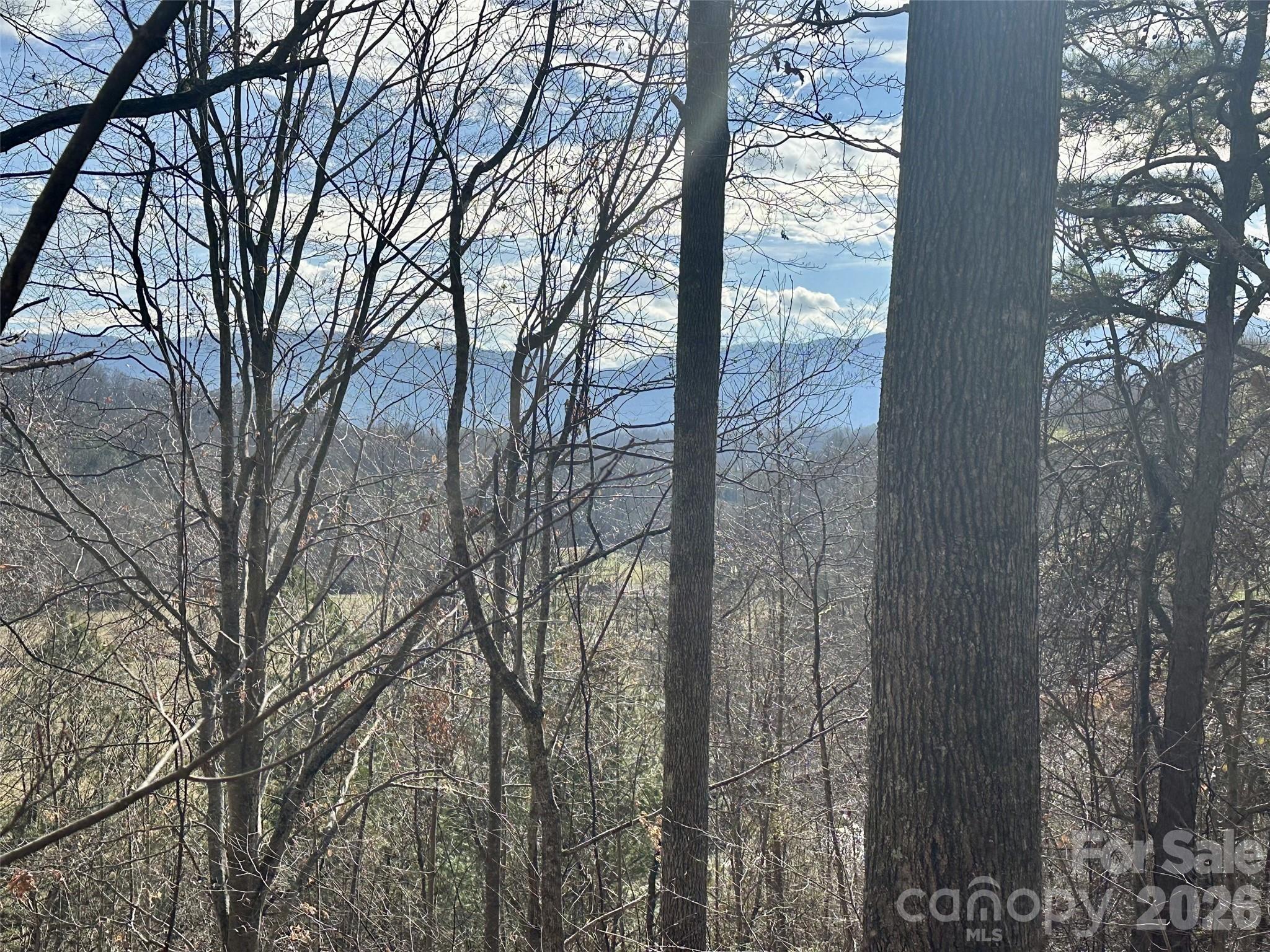 0 Queen Cove Road Waynesville, NC 28785 - Photo 4 of 17 a view of a forest from a tree