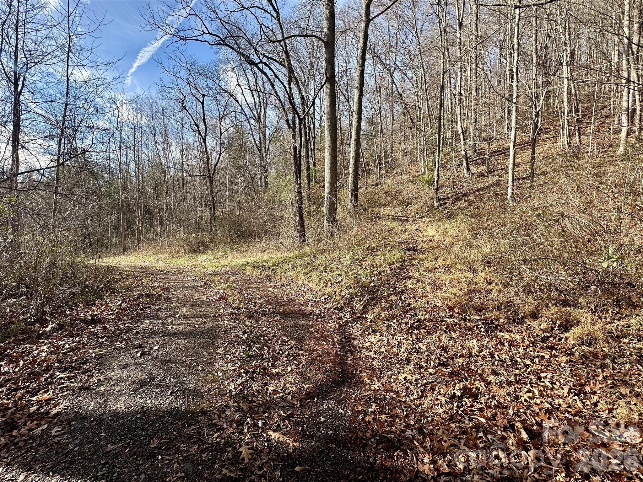 0 Queen Cove Road Waynesville, NC 28785 - Photo 7 of 17 a view of small yard