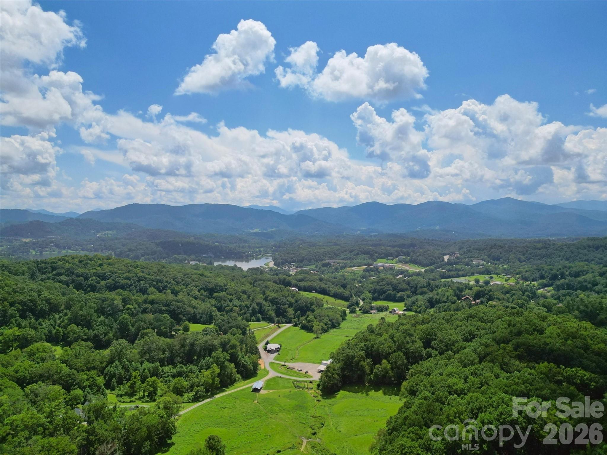 0 Queen Cove Road Waynesville, NC 28785 - Photo 10 of 17 a view of a bunch of trees in a field
