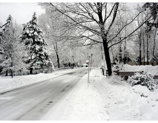 30 Abbott Road Wellesley, MA 02481 - Photo 3 of 17 a view of road covered with snow