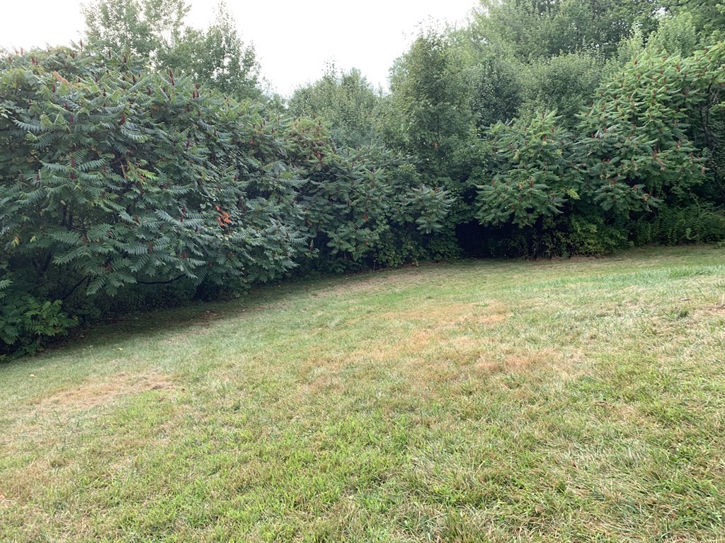 581 Warren Wright Road Belchertown, MA 01007 - Photo 24 of 25 a view of a green yard