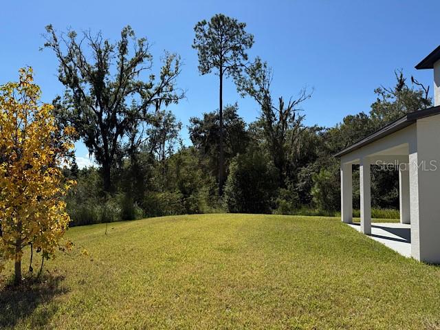 12590 Retreat Place Spring Hill, FL 34610 - Photo 6 of 33 a view of a backyard