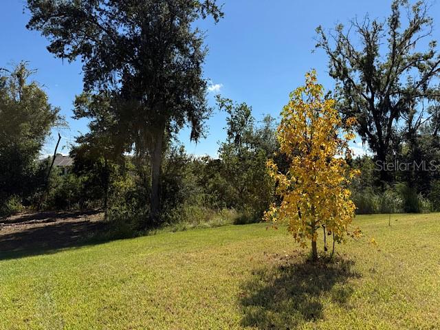 12590 Retreat Place Spring Hill, FL 34610 - Photo 7 of 33 a view of outdoor space with trees