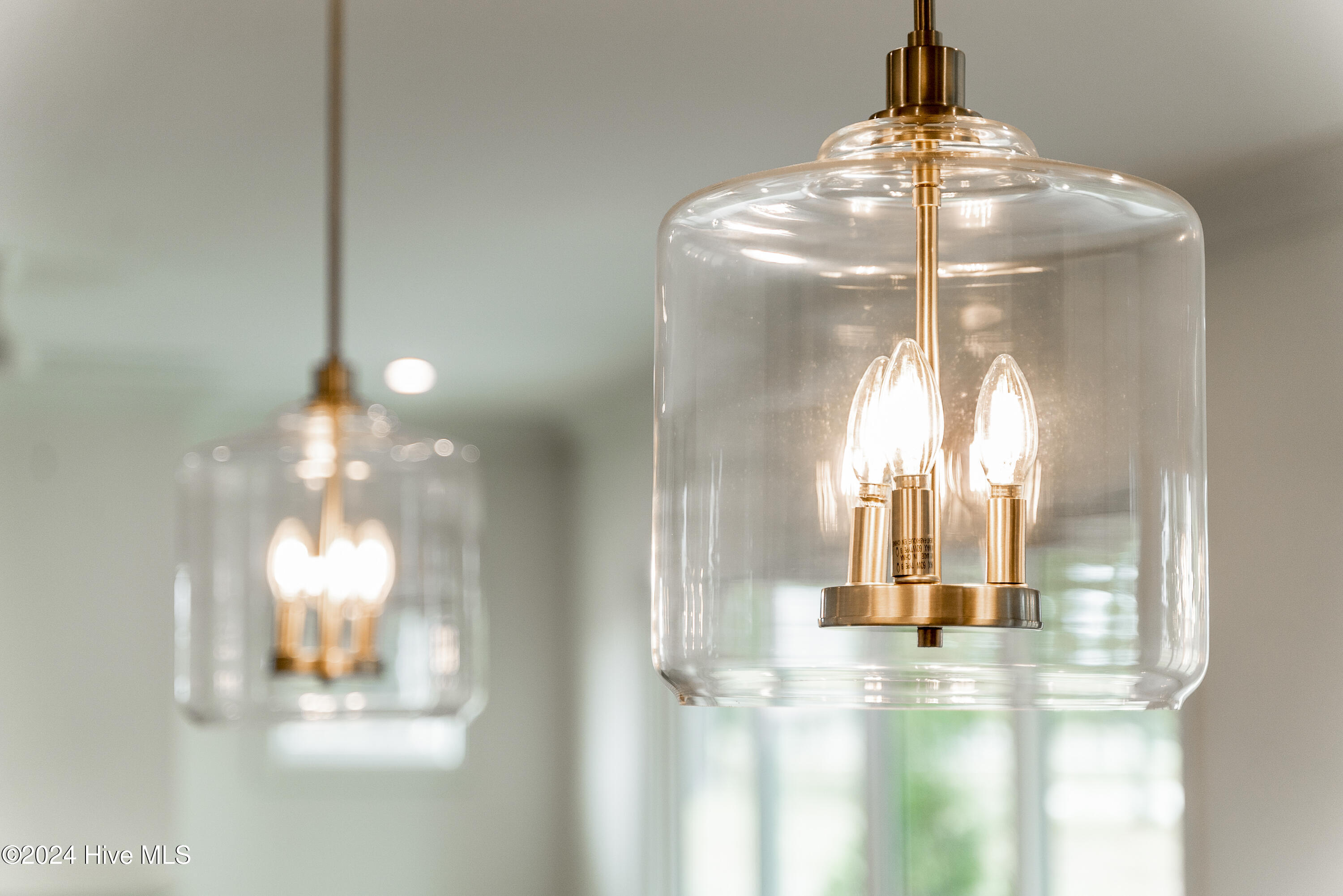 76 Pine Tree Point Snow Hill, NC 28580 - Photo 8 of 44 19-20241107 MLS F_Langley 76 Pine Tree P