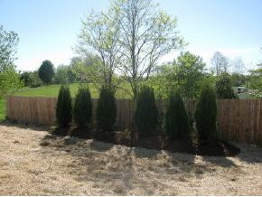 86 Sand Ridge Circle Jonesborough, TN 37659 - Photo 4 of 6 Photo 4